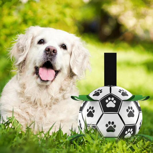 Interactive Dog Soccer Ball